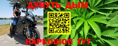 гидра Шебекино