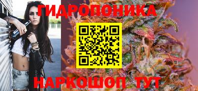 гидра Шебекино